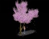 T's Cherry Blossom Tree