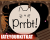 Feline Activation Noise