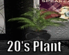 20's Plant