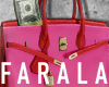 Birk Bag Dollar / Mix 2