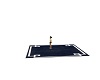 navy blue and white rug
