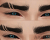 sk. ^. Eyebrows