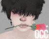 Occ. mouf rose peach