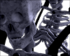 skeleton M