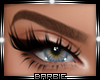 Siena Ombre Eyebrows