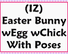 (IZ) Easter Bunny w/Egg