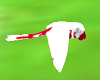 Dynamic Fly parrot bird2