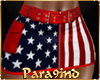 P9)MISSY"USA Skirt 07-04