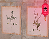 ♥ plants frames