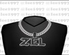 Zel custom chain