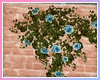 Rach*FlowerTrim2Vines