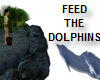 FEED N TRAIN DOLPHINS