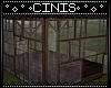 CIN| Windows