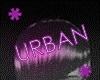 Urban*Z3*