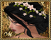 MAREVA BLACK PEACH ROSES