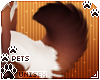 [Pets] Ginga | tail v4