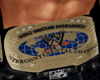 WWE IC Title 2014