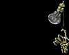 Z* Cleopatra Crown V2