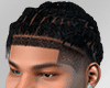 é¾ Short Twist Braids