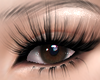 B.Thalia Add-on Lash