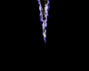 luxeboy