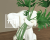 Mind's Table Plant