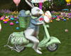 Easter Rabbit  2023