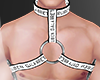.Not for sale. harness I