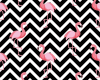 ♂M shirt flamingos