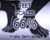 Feet Scaler 66%