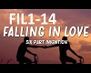 Falling in Love1-13