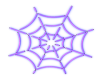 Purple Neon Spider Web