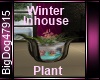 [BD] WinterInhouse Plant