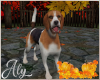 Autumn Beagle