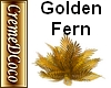CDC-Plant-Fern Gold