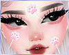 Cute Paws Lollipop