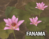 Lotus Flower |FM564