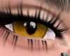 eyes-yellow