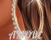 Amore Gold Hoops