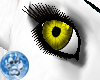 [S]Dk Yellow Eye {F}