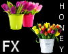 *h* Tulips Bucket FX