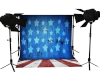~D~4th of  July Backdrop