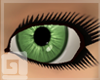Smaragd Green Eyes F.