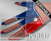 [P]USA Gloves + Nails