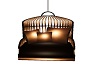 Brown Nest Swing