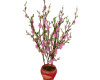 NZ CNY Vase