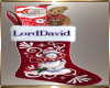 LordDavid Stocking
