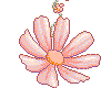 hanging flower