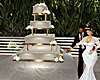 ~PS~ Dreams Wedding Cake