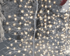 Ligths Trees